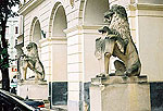Lviv Photo Gallery. Lions near the City Hall
